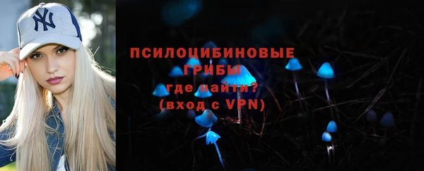 хмурый Алексеевка