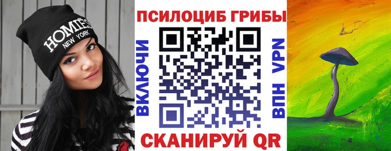 Псилоцибиновые грибы MAGIC MUSHROOMS  купить   гидра маркетплейс  Анива 